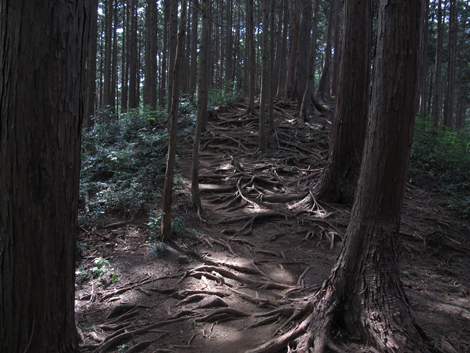20161007hike (36)